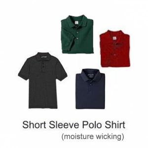 Polo-w-Logo-4-colors-600x600 Polo-w-Logo-4-colors