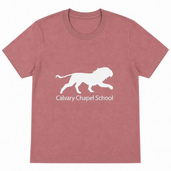 Spirit T-shirt 2026/27
